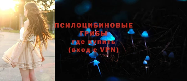 ECSTASY Алексеевка