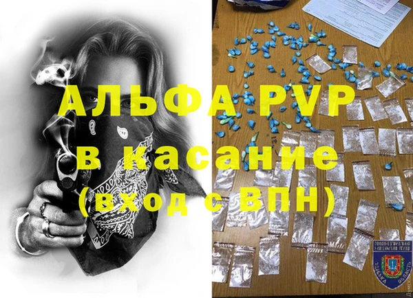 шишки Алзамай