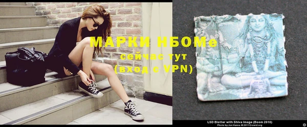 шишки Алзамай
