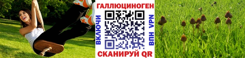 Галлюциногенные грибы Psilocybe  наркота  Челябинск 